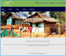 cms web development services in kolkata