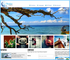 cms web development company in kolkata