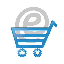 ecommerce solution provider in kolkata