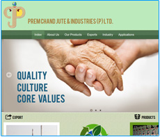 responsive website design company in kolkata