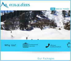 responsive website design services in kolkata